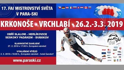 MS PARA-SKI 2019